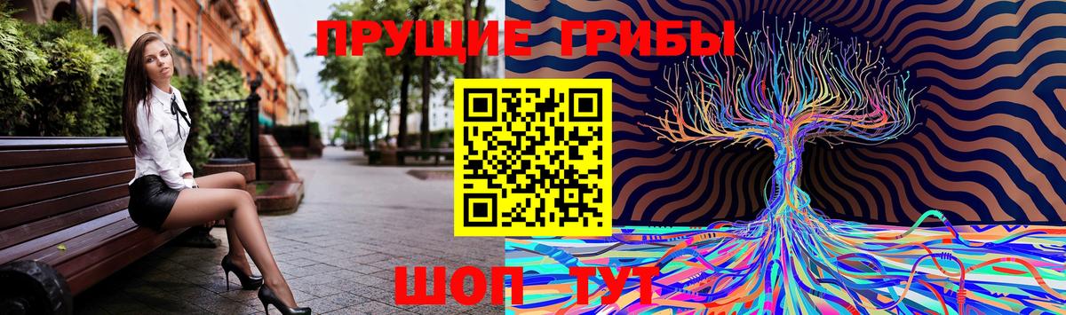 Псилоцибиновые грибы GOLDEN TEACHER  Вход с VPN  Узловая  Псилоцибиновые грибы Psilocybe 